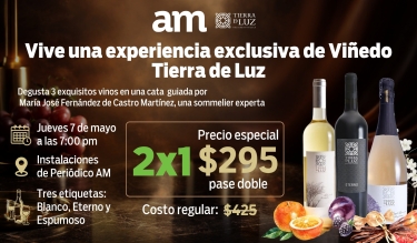 Cata Exclusiva Tierra de Luz: Una Experiencia Enológica de Alto Nivel 